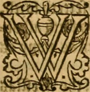 An illustration from Special and chosen sermons of D. Martin Lvther, collected ovt of his writings and preachings for the necessary instruction and edification of such as hunger and seeke after the perfect knowledge and inestimable glorie which is in Christ Iesu, to the comfort and saluation of their soules, 1578, leaf 58