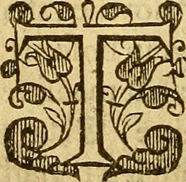 An illustration from Special and chosen sermons, 1578, leaf 193