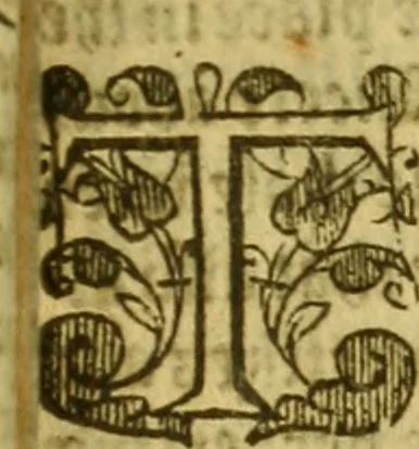 An illustration from Special and chosen sermons, 1578, leaf 336