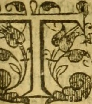 An illustration from Special and chosen sermons, 1578, leaf 348