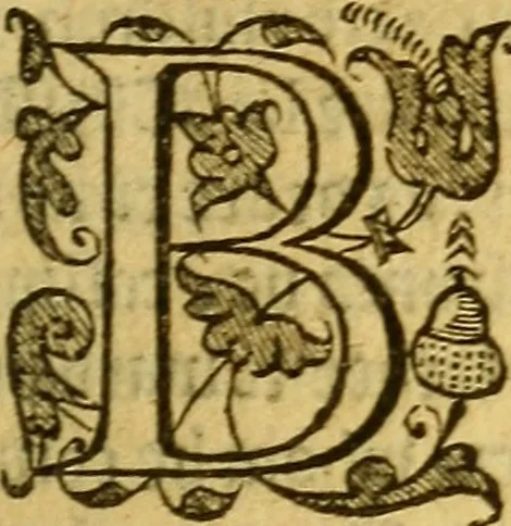 An illustration from Special and chosen sermons, 1578, leaf 362