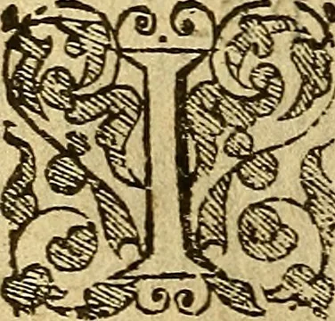 An illustration from Special and chosen sermons, 1578, leaf 383