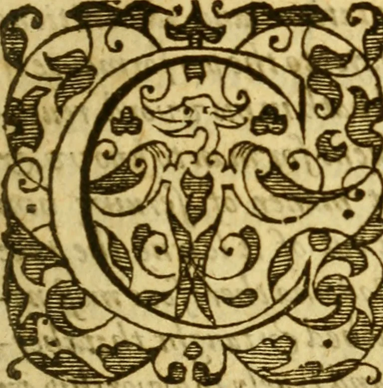 An illustration from Special and chosen sermons, 1578, leaf 8