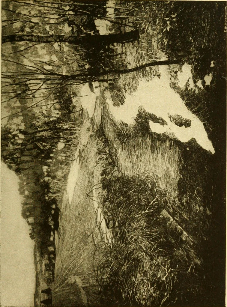 An illustration from Special exhibitions of work by the following artists : paintings by John W. Alexander : sculpture by Chester Beach : paintings by California artists : paintings by Wilson Irvine : paintings by Edward W. Redfield : paintings, drawings and sketches by Maurice Sterne, 1916, leaf 26