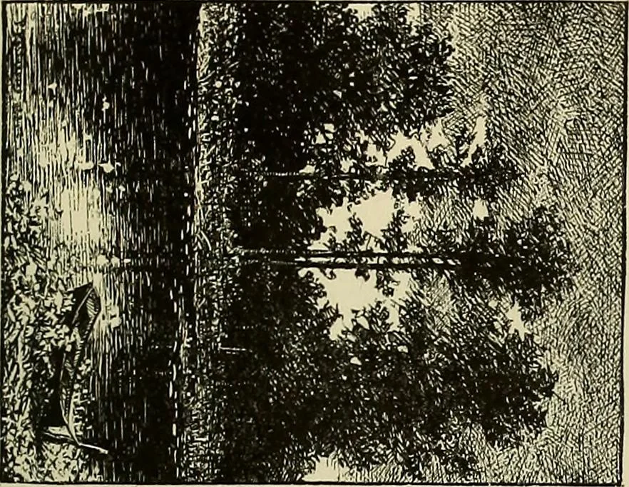 An illustration from Special exhibition of paintings by American artists at home and in Europe, Nov. 7-Dec. 26 : illustrated catalog, 1881, leaf 38