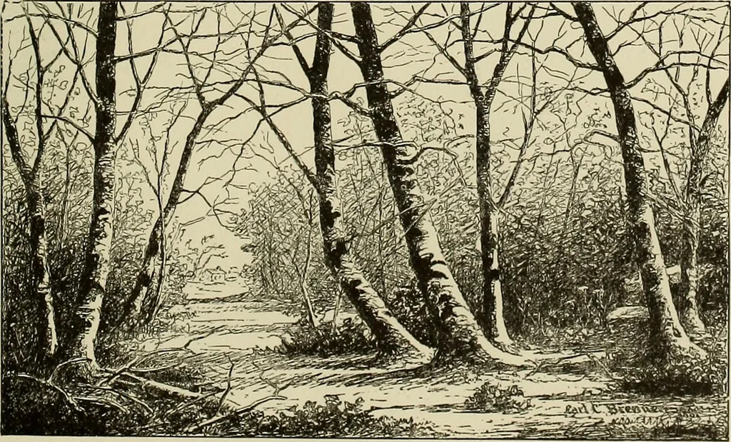 An illustration from Special exhibition of paintings by American artists at home and in Europe, Nov. 7-Dec. 26 : illustrated catalog, 1881, leaf 44
