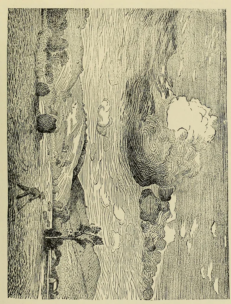 An illustration from Special exhibition of paintings by American artists at home and in Europe, Nov. 7-Dec. 26 : illustrated catalog, 1881, leaf 78