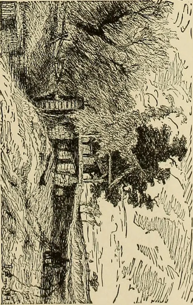 An illustration from Special exhibition of paintings by American artists at home and in Europe, Nov. 7-Dec. 26 : illustrated catalog, 1881, leaf 82