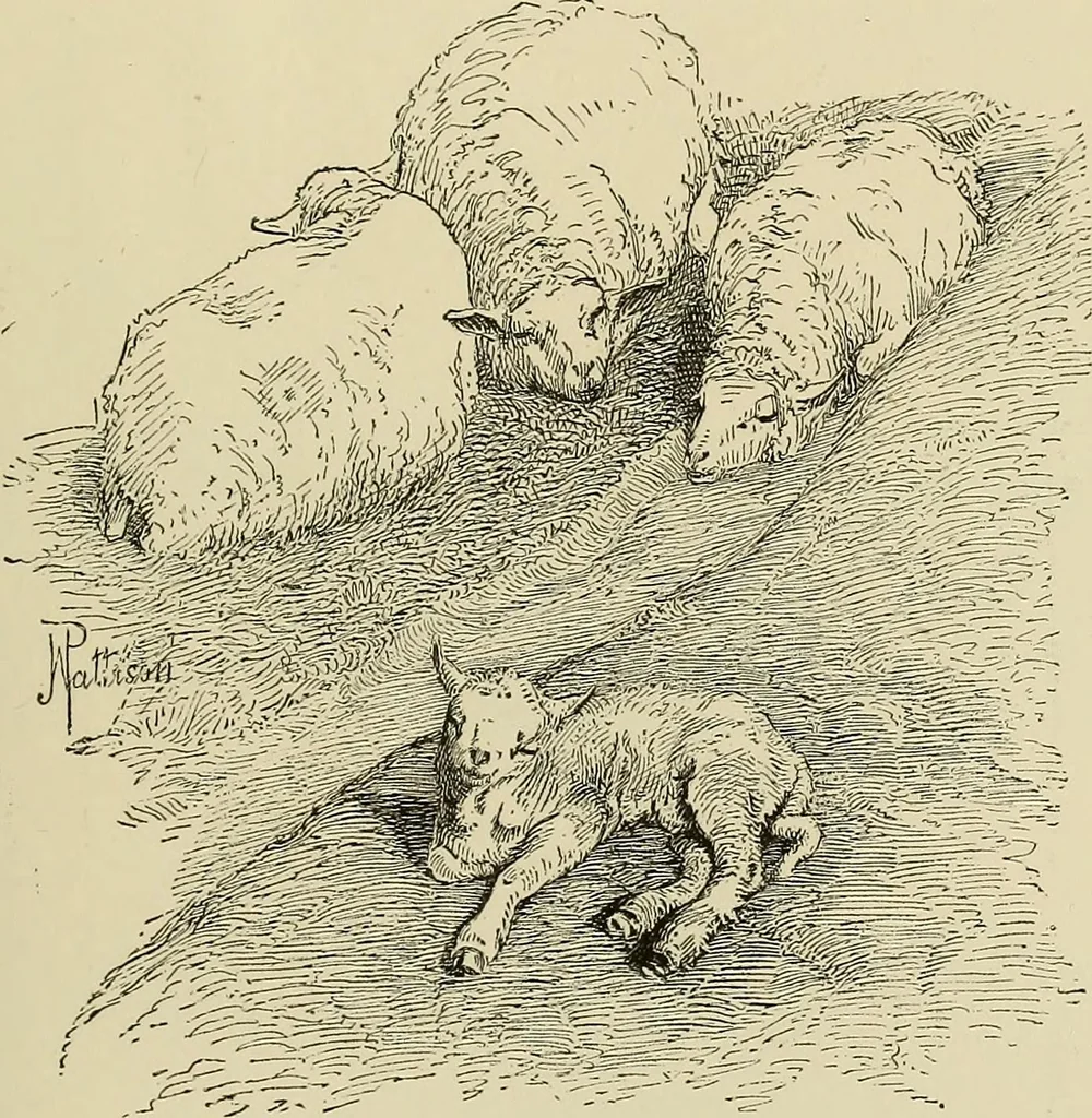 An illustration from Special exhibition of paintings by American artists at home and in Europe, Nov. 7-Dec. 26 : illustrated catalog, 1881, leaf 94