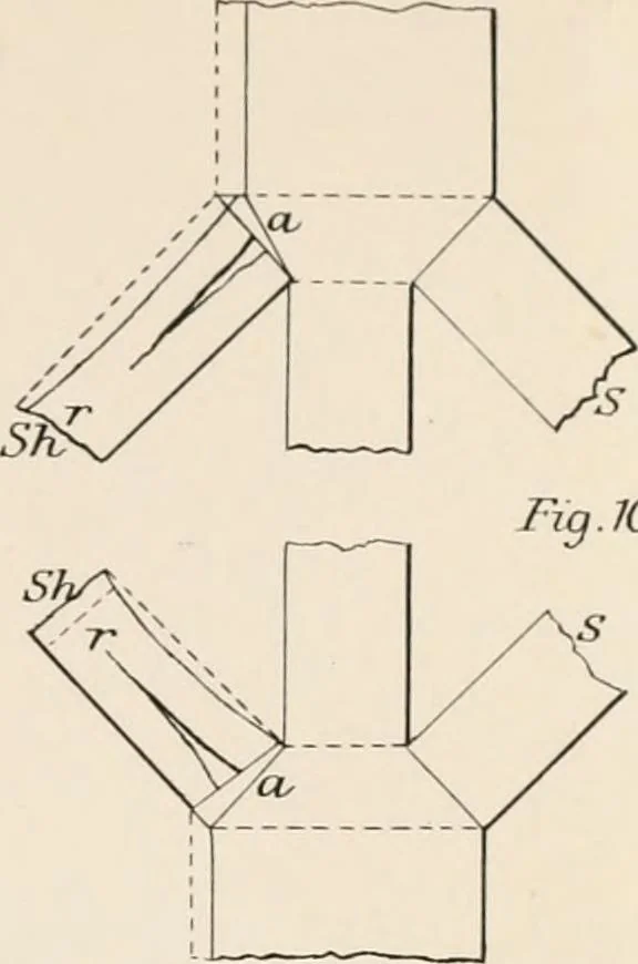 An illustration from Specifications for practical architecture; a guide to the architect, engineer, surveyor, and builder, with an essay on the structure and science of modern buildings, 1886, leaf 44