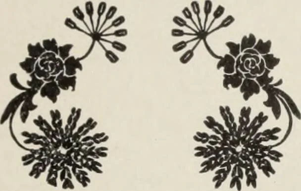 An illustration from Specimen book and catalog : a price list of printers' supplies .., 1907, leaf 185
