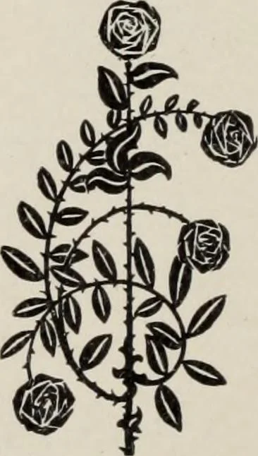 An illustration from Specimen book and catalog : a price list of printers' supplies .., 1907, leaf 185