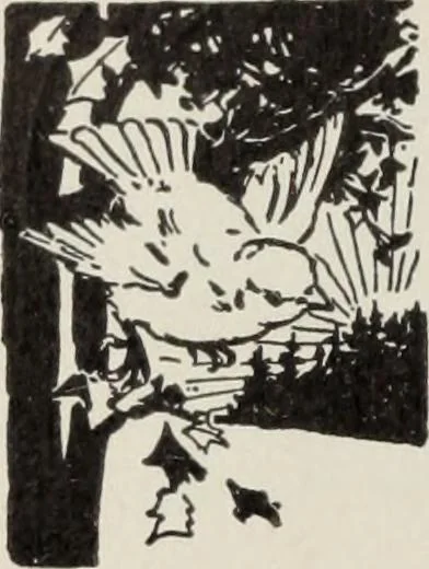 An illustration from Specimen book and catalog : a price list of printers' supplies .., 1907, leaf 193