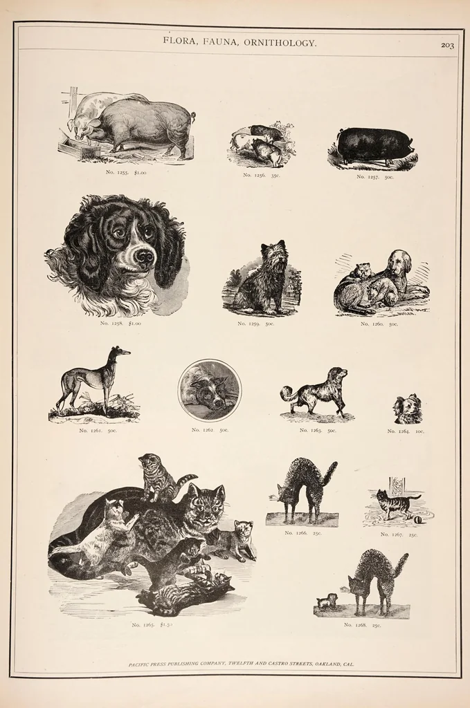 An illustration from Specimen book of electrotypes comprising Pacific coast scenery, general illustrations, trade cuts, advertising novelties, &c. furnished by the Pacific press publishing house ...Oakland, Cal., 1885, leaf 210