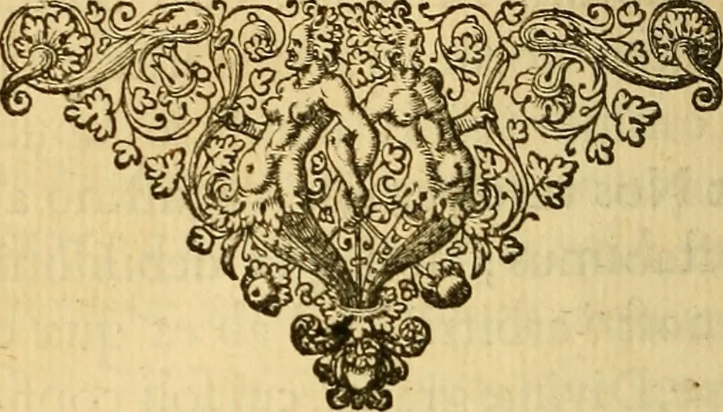 An illustration from Specimen calumniarum atque heterodoxarum opinionum ex Remonstrantium apologia excerptarum : instar prodromi ad praemonendos omnes veros Christianos in lucem emissum, 1630, leaf 15