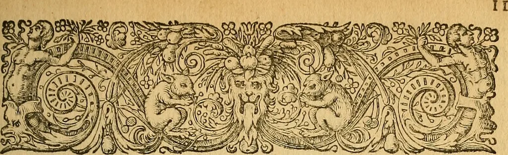 An illustration from Specimen calumniarum atque heterodoxarum opinionum ex Remonstrantium apologia excerptarum : instar prodromi ad praemonendos omnes veros Christianos in lucem emissum, 1630, leaf 16