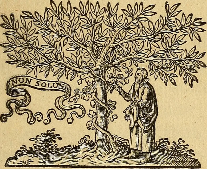 An illustration from Specimen calumniarum atque heterodoxarum opinionum ex Remonstrantium apologia excerptarum : instar prodromi ad praemonendos omnes veros Christianos in lucem emissum, 1630, leaf 6