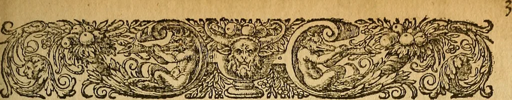 An illustration from Specimen calumniarum atque heterodoxarum opinionum ex Remonstrantium apologia excerptarum : instar prodromi ad praemonendos omnes veros Christianos in lucem emissum, 1630, leaf 8