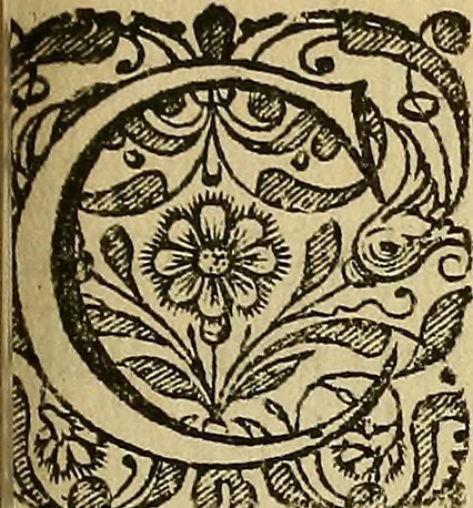 An illustration from Specimen calumniarum atque heterodoxarum opinionum ex Remonstrantium apologia excerptarum : instar prodromi ad praemonendos omnes veros Christianos in lucem emissum, 1630, leaf 8