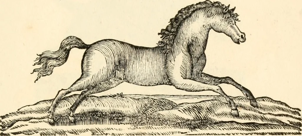 An illustration from A specimen of printing types, 1798, leaf 178