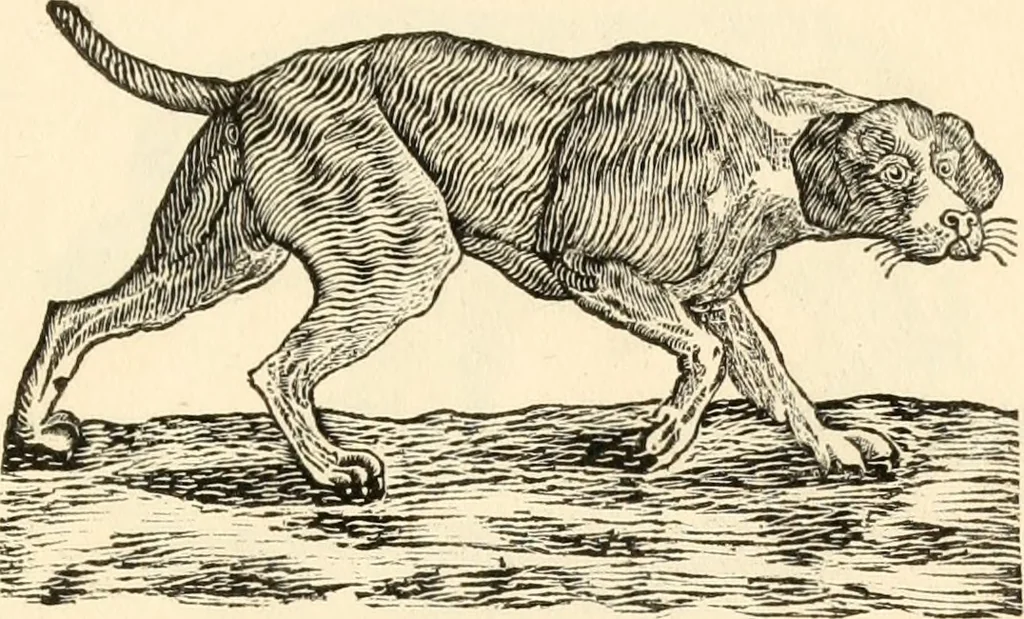 An illustration from A specimen of printing types, 1798, leaf 180