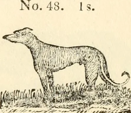 An illustration from A specimen of printing types, 1798, leaf 180