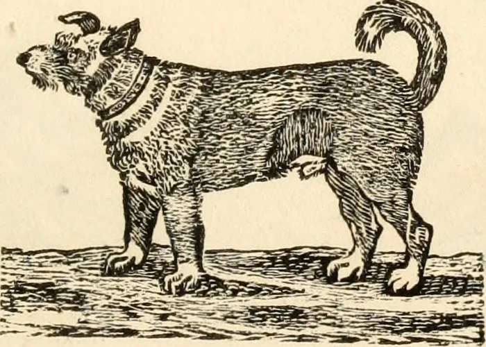 An illustration from A specimen of printing types, 1798, leaf 180