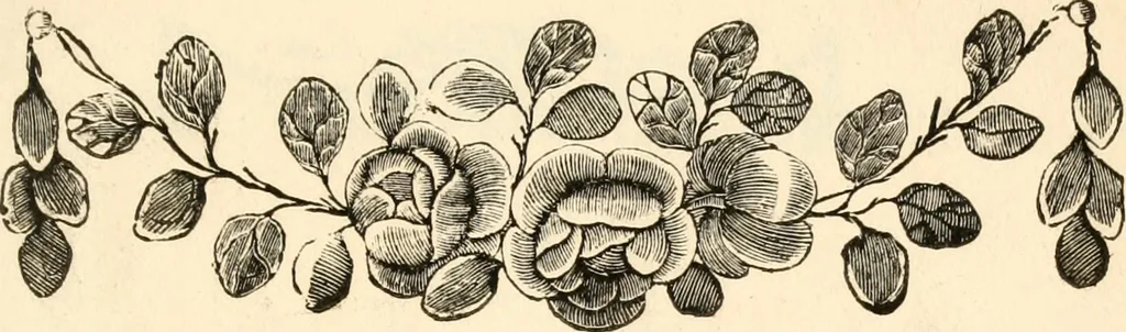 An illustration from A specimen of printing types, 1798, leaf 188