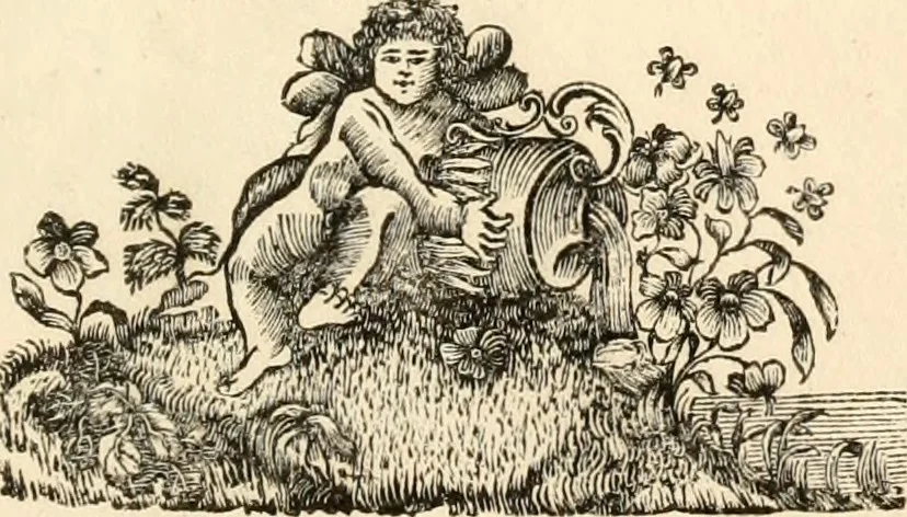 An illustration from A specimen of printing types, 1798, leaf 192