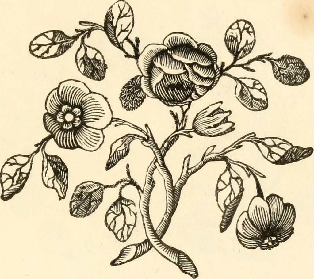 An illustration from A specimen of printing types, 1798, leaf 194