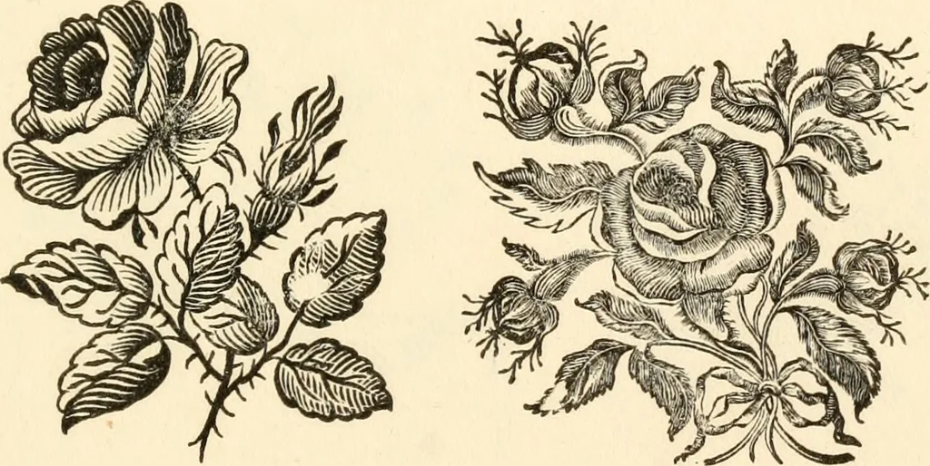 An illustration from A specimen of printing types, 1798, leaf 194