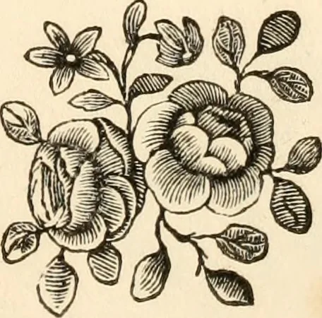 An illustration from A specimen of printing types, 1798, leaf 194
