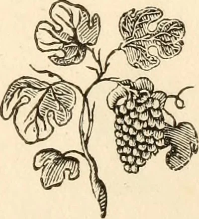 An illustration from A specimen of printing types, 1798, leaf 196