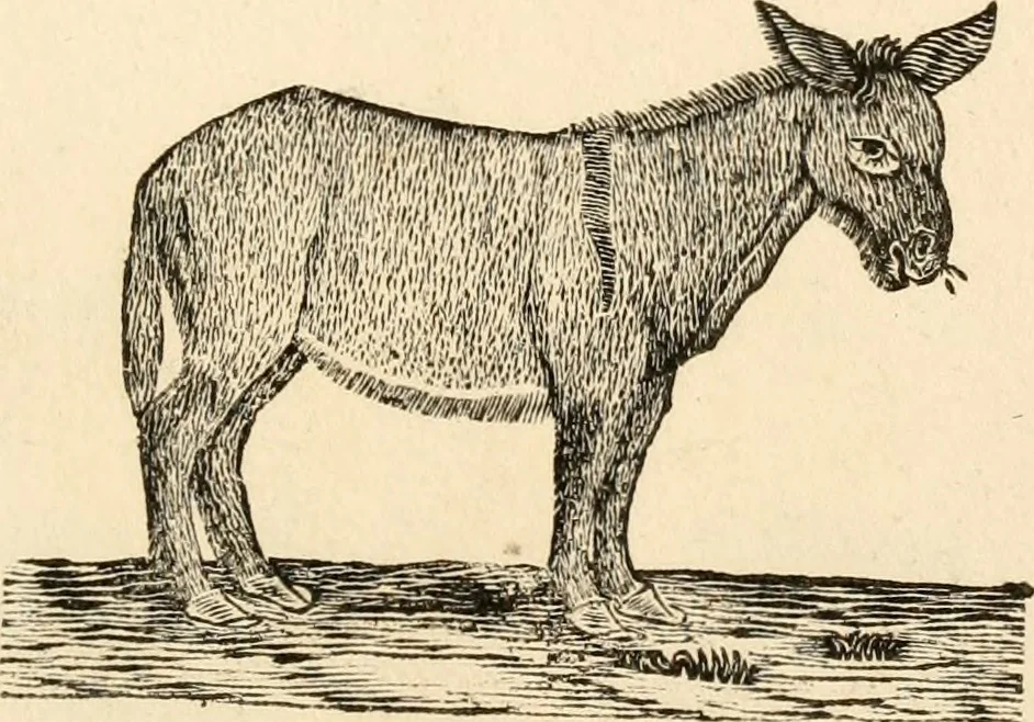 An illustration from A specimen of printing types, 1798, leaf 208