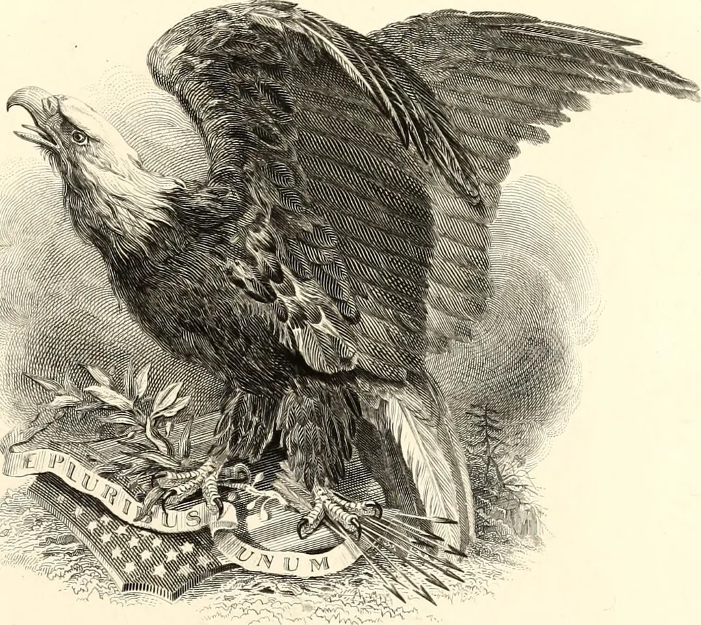 An illustration from Specimens, 1877, leaf 218