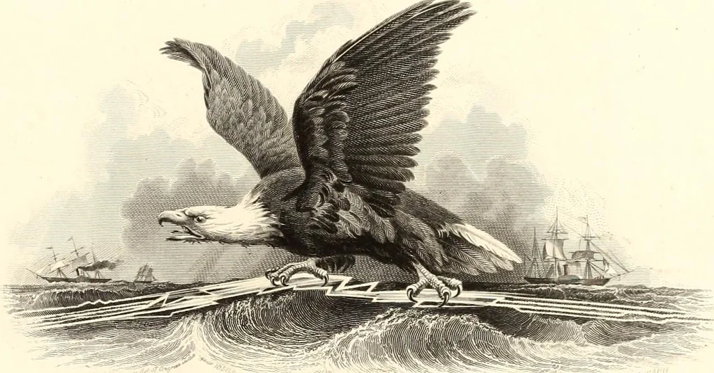 An illustration from Specimens, 1877, leaf 256