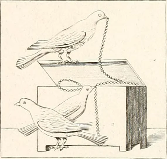 An illustration from Specimens from the Naples Museum : one hundred and sixty-eight plates, engraved on copper by the best Italian artists, illustrating four hundred and sixty-six objects from every branch of art and archaeology, 1889, leaf 108