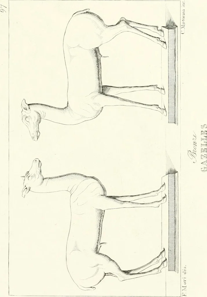 An illustration from Specimens from the Naples Museum : one hundred and sixty-eight plates, engraved on copper by the best Italian artists, illustrating four hundred and sixty-six objects from every branch of art and archaeology, 1889, leaf 236