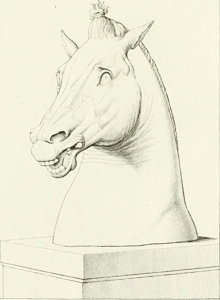 An illustration from Specimens from the Naples Museum : one hundred and sixty-eight plates, engraved on copper by the best Italian artists, illustrating four hundred and sixty-six objects from every branch of art and archaeology, 1889, leaf 238