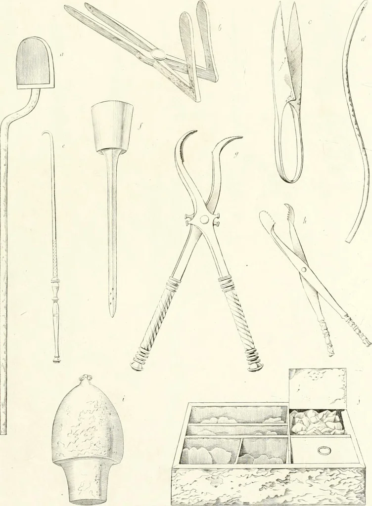 An illustration from Specimens from the Naples Museum : one hundred and sixty-eight plates, engraved on copper by the best Italian artists, illustrating four hundred and sixty-six objects from every branch of art and archaeology, 1889, leaf 304