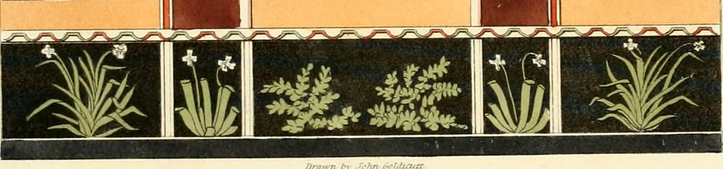 An illustration from Specimens of ancient decorations from Pompeii, 1825, leaf 28