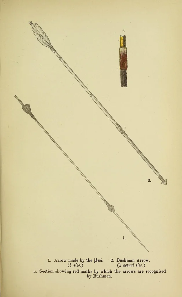 An illustration from Specimens of Bushman folklore, 1911, leaf 443