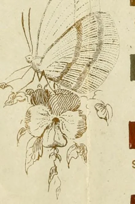 An illustration from Specimens of colors from T. Fewster & Son, manufacturers of varnishes, patent dryers., 1845, leaf 22