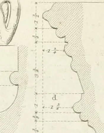 An illustration from Specimens of Gothic architecture; selected from various antient[!] edifices in England: consisting of plans, elevations, sections, and parts at large ... accompanied by historical and descriptive accounts, 1823, leaf 322