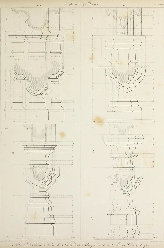 An illustration from Specimens of Gothic architecture : selected from various ancient edifices in England : consisting of plans, elevations, sections, and parts at large, calculated to exemplify the various styles, and the practical construction of this admired class of architecture, 1825, leaf 248