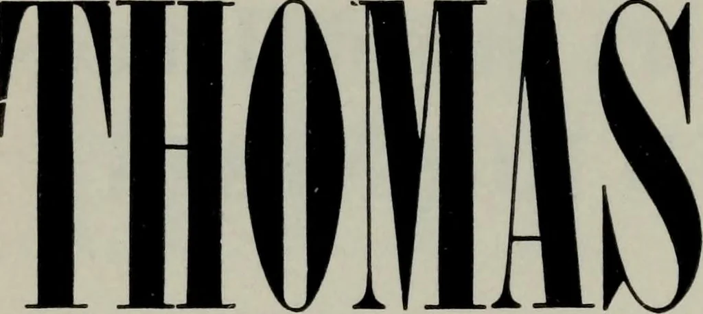 An illustration from Specimens of type, borders, ornaments, brass rules and cuts, etc. : catalogue of printing machinery and materials, wood goods, etc, 1897, leaf 191