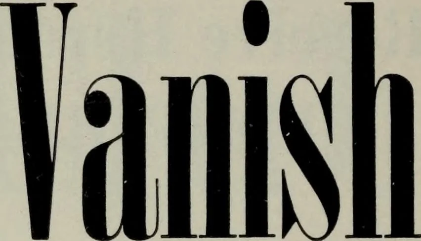 An illustration from Specimens of type, borders, ornaments, brass rules and cuts, etc. : catalogue of printing machinery and materials, wood goods, etc, 1897, leaf 191