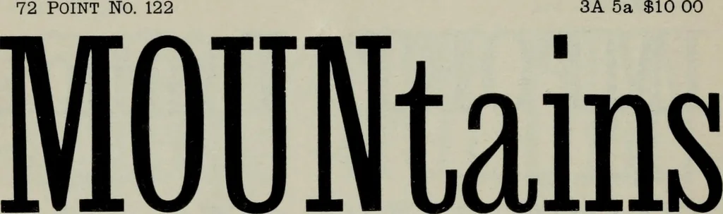 An illustration from Specimens of type, borders, ornaments, brass rules and cuts, etc. : catalogue of printing machinery and materials, wood goods, etc, 1897, leaf 219