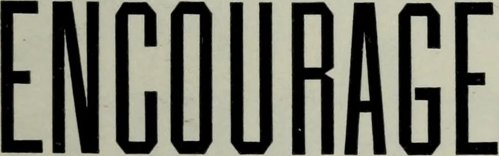 An illustration from Specimens of type, borders, ornaments, brass rules and cuts, etc. : catalogue of printing machinery and materials, wood goods, etc, 1897, leaf 288
