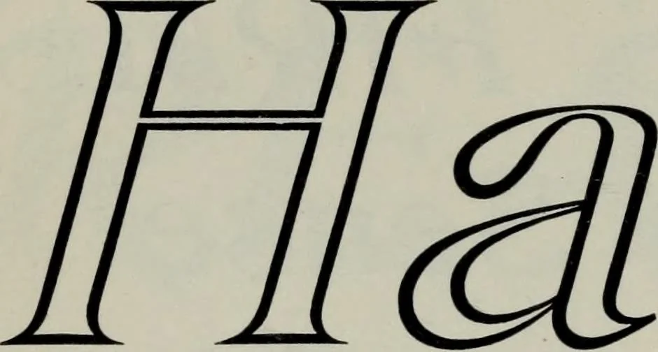 An illustration from Specimens of type, borders, ornaments, brass rules and cuts, etc. : catalogue of printing machinery and materials, wood goods, etc, 1897, leaf 367